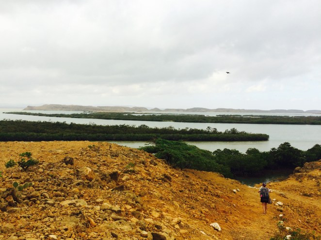 prendereildesertinmenodi24ore-giorgiodamatosenzapostrofo1