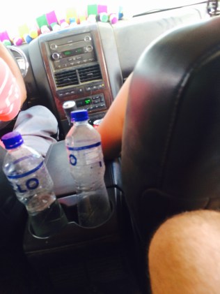 il millepiedi del deserto di Mikeli con la i